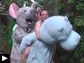 Videos: Rémi Gaillard en Tarzan sème le trouble au zoo + Reportage