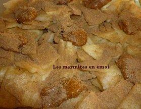 GATEAU AUX EPICES ET AUX POMMES