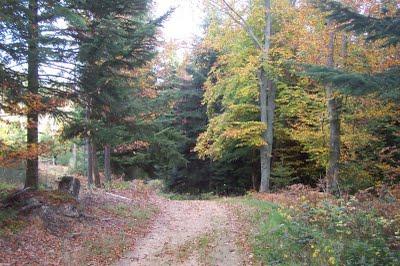 Le nombril : bilan de blog du mois d'Octobre