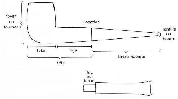 La naissance d’une pipe en bruyère ... La naissance d’une pipe en bruyère ...