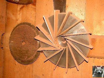 La naissance d’une pipe en bruyère ... La naissance d’une pipe en bruyère ...