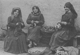 La naissance d’une pipe en bruyère ... La naissance d’une pipe en bruyère ...