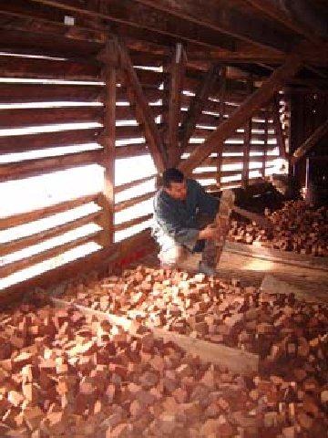 La naissance d’une pipe en bruyère ... La naissance d’une pipe en bruyère ...