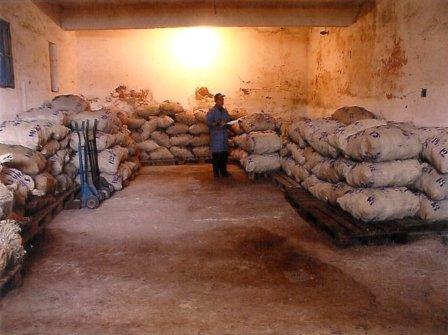 La naissance d’une pipe en bruyère ... La naissance d’une pipe en bruyère ...