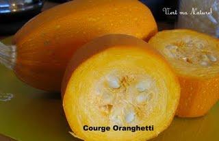 Smoothie à la Courge Oranghetti, Pomme & Huile Essentielle de Cannelle (feuilles)