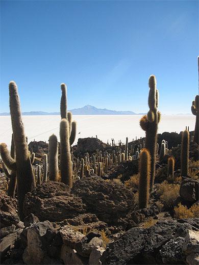 le désert de Incahuasi.