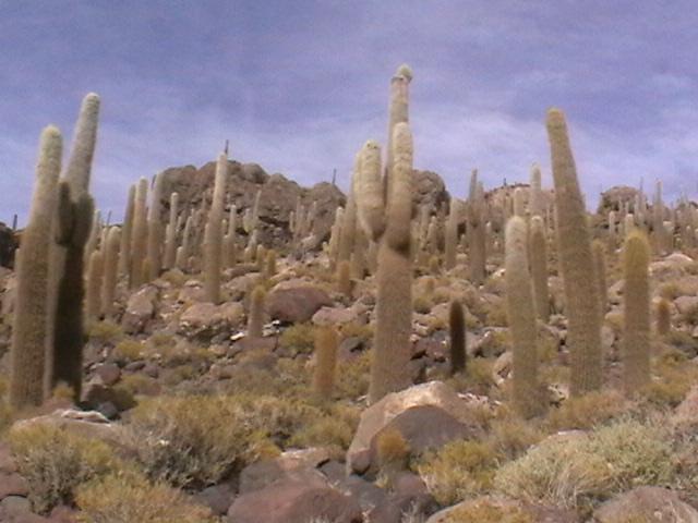 le désert de Incahuasi.