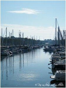 COTE OUEST ... # 2
Soleil, Ciel bleu, 21° au thermomètreT... DSCF1673b