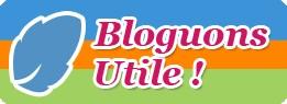 bloguonsutilefrancais.jpg