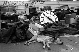 Le coeur souffre oui, mais l'esprit se nourrit Le coeur souffre oui, mais l'esprit se nourrit