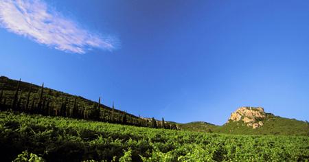 Le ciel bleu des Corbières, la montagne et les vignes