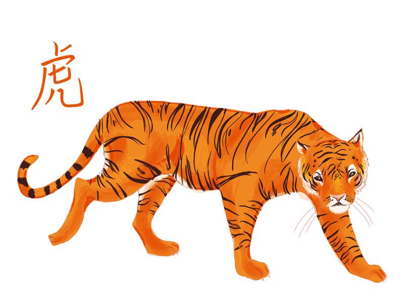 signe zodiac chinois tigre