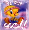 cool_t