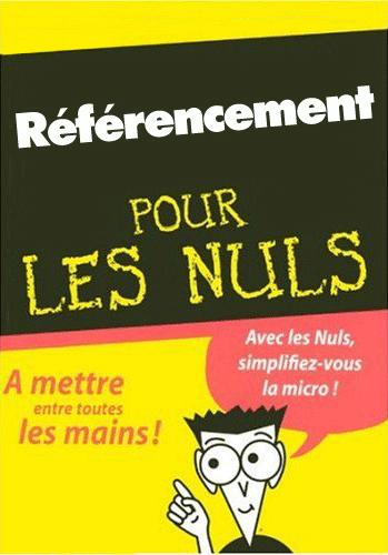 referencement-nuls