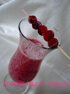 Smoothie vitaminé pour contrer la baisse d'energie DSC02178