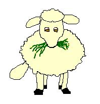 Mots d’enfants : Il pleut Mots d’enfants : Il pleut