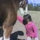 Fille owned par un cheval