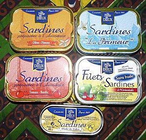 Lasagnes aux sardines à la tomate et au basilic.