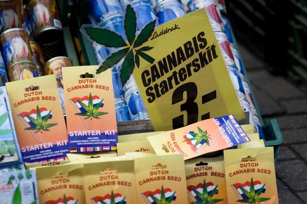 Petite visite d'Amsterdam (au pas express) Marché aux fleurs Amsterdam