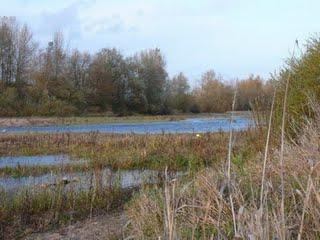 Le long de la vallée de la Loire Le long de la vallée de la Loire