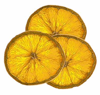 rondellesdorangesches.gif
