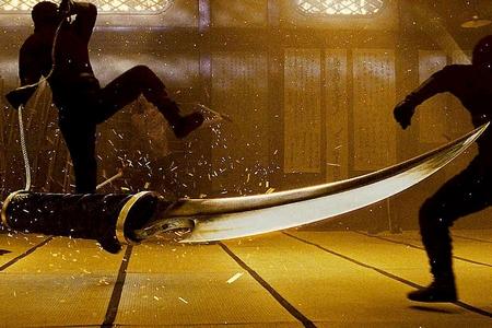 Ninja : le plein de photos & vidéos ! ninja-assassin