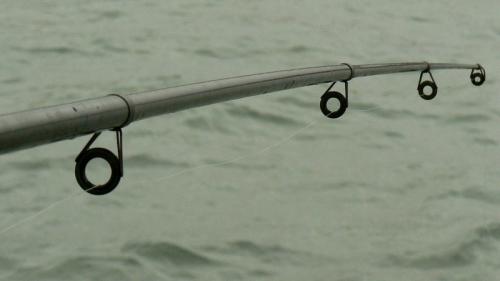 saines – du balcon 176346ab0cb6f3651.jpg