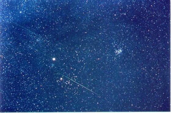 Leonids_Buttnor1 Léonide devant la constellation du Taureau non loin des Pléiades