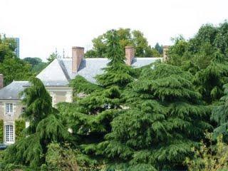 Derrière et devant chez moi, savez-vous quoi qu'y a ! Derrière et devant chez moi, savez-vous quoi qu'y a !