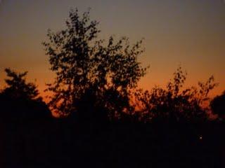 Derrière et devant chez moi, savez-vous quoi qu'y a ! Derrière et devant chez moi, savez-vous quoi qu'y a !