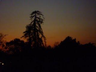 Derrière et devant chez moi, savez-vous quoi qu'y a ! Derrière et devant chez moi, savez-vous quoi qu'y a !