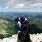 Summit of Crowsnest Mountain, Crowsnest Pass, Alberta Summit of Crowsnest Mountain, Crowsnest Pass, Alberta