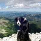 Summit of Crowsnest Mountain, Crowsnest Pass, Alberta