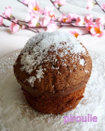Cake à la noix de coco, au chocolat et au rhum cake_coco_chocolat__4_