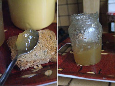 Gelée de pommes gelee_de_pommes_10