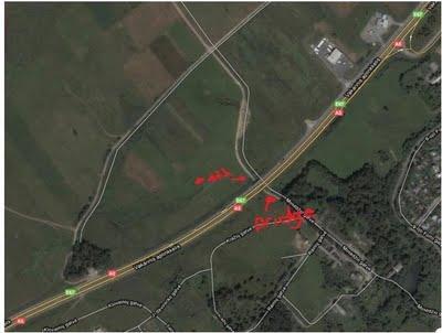 Quand les internautes vengent un petit chien! Quand les internautes vengent un petit chien!