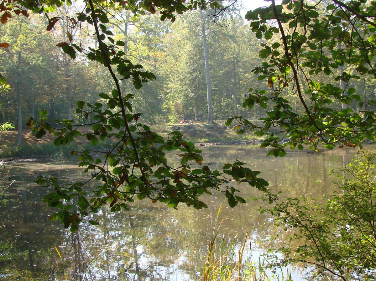 reflets et couleurs d'automne