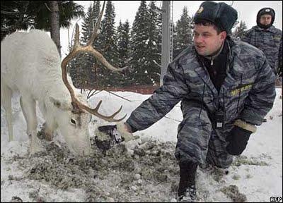 Khanty-Mansiysk, en Sibérie occidentale © BBC News