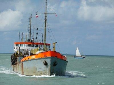 L´armada en Normandie, c´est toute l´année !
