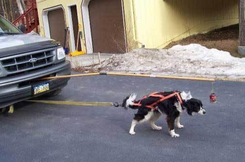 Humour avec mon Amie Maracudja du Senegal Transport humour