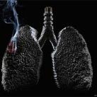 publicites-cigarettes-1012 thumbs publicites cigarettes 1012 Publicités contre la Cigarette (63 photos)