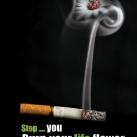 thumbs publicite cigarettes006 Publicités contre la Cigarette (63 photos)