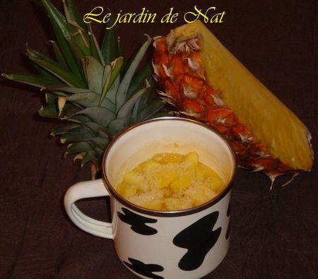 Crème coco et ananas 019