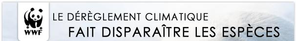 N'attendons pas Copenhague pour agir WWF : Le dérèglement climatique fait disparaître les espèces