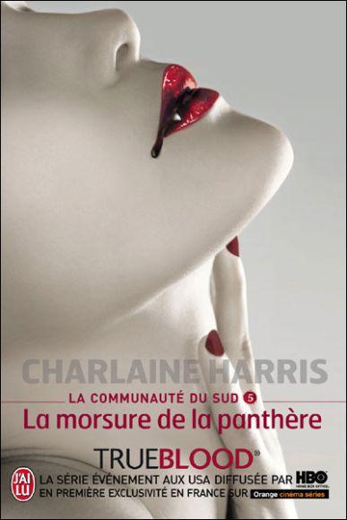 http://bazar-de-la-litterature.cowblog.fr/images/Livres/communautedusud5.jpg