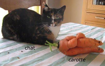 Une carotte pour Christian Vanneste