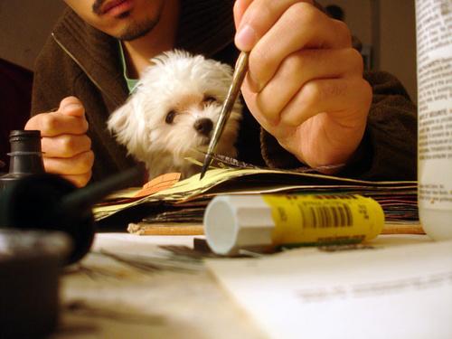 Jon Mcnair dog Jon Mcnair dog