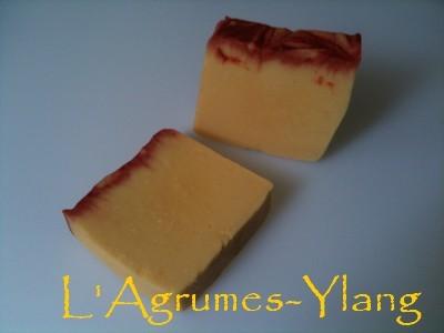 Savon “Agrumes-Ylang”