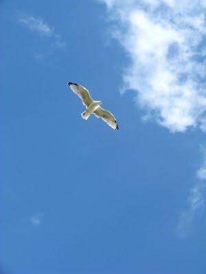 J'arrive ! J'arrive !