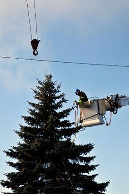 Mon beau sapin... Mon beau sapin...